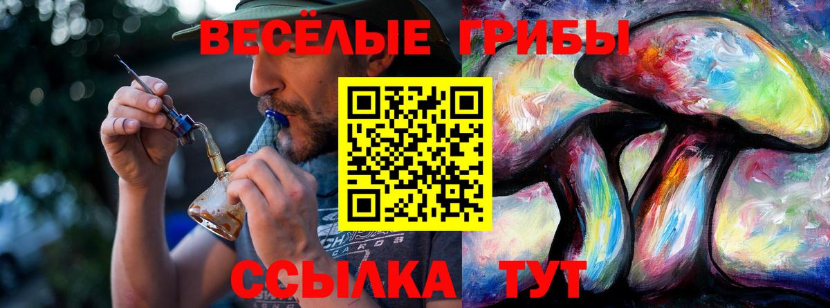 Галлюциногенные грибы GOLDEN TEACHER Туймазы